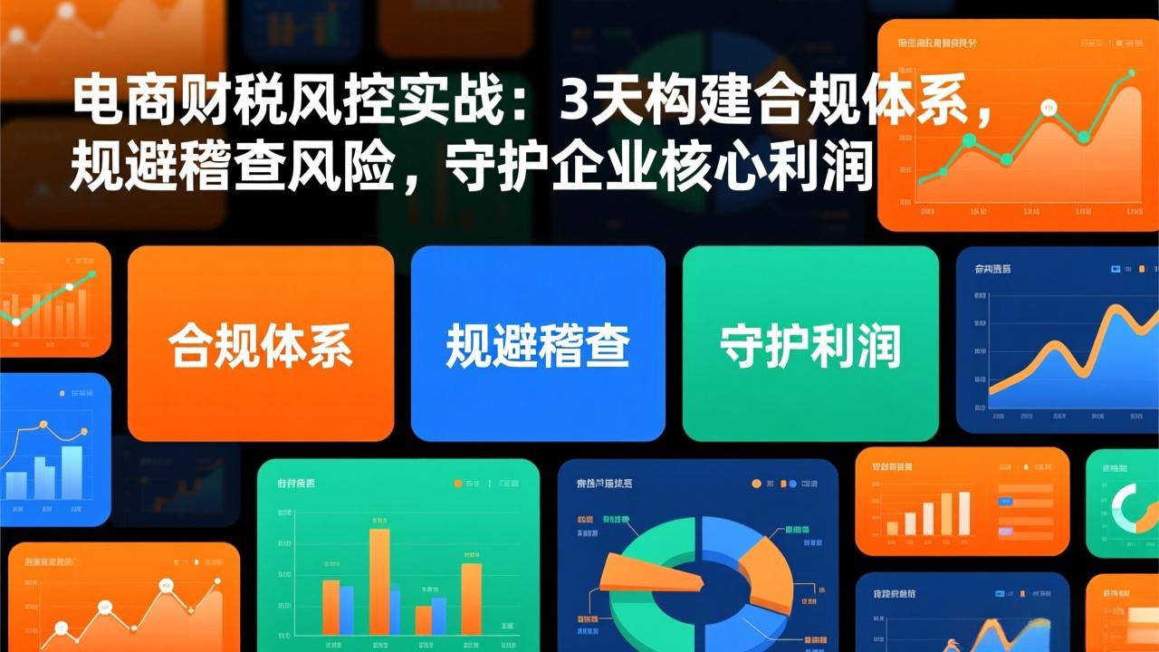 （17197期）电商财税风控实战：3天构建合规体系，规避稽查风险，守护企业核心利润-翌晨科技网