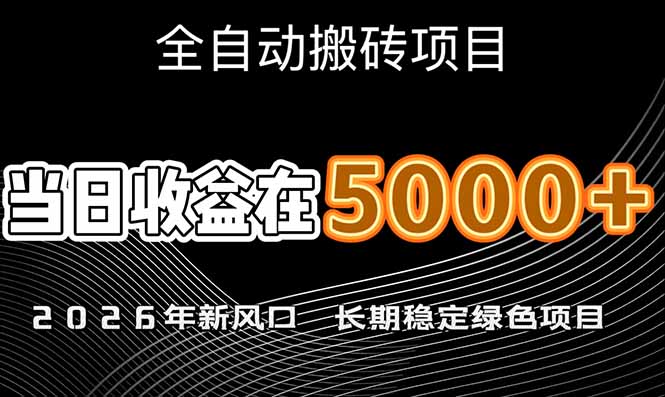（17115期）2026年新风口赛道，当日6000+以上，可批量放大，月收入20万+，长期绿色稳定的项目-翌晨科技网