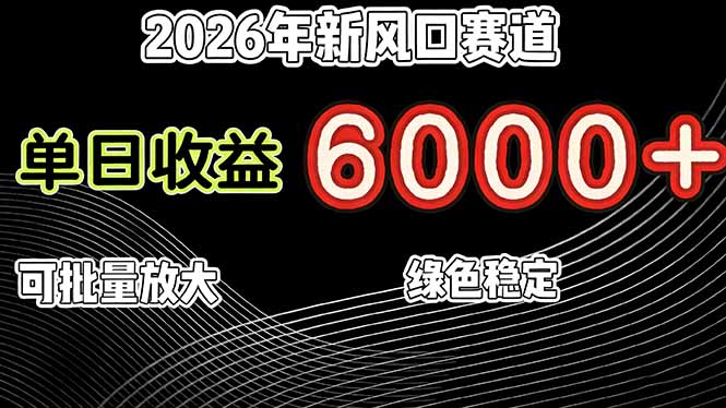 （17135期）2026年新风口赛道，当日6000+以上，可批量放大，月收入20万+，长期绿色稳定的项目-翌晨科技网