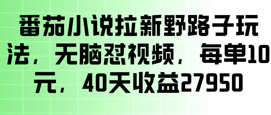 番茄小说拉新野路子玩法，无脑怼视频，玩法简单、见效快，每单10米，40天收益27950-翌晨科技网