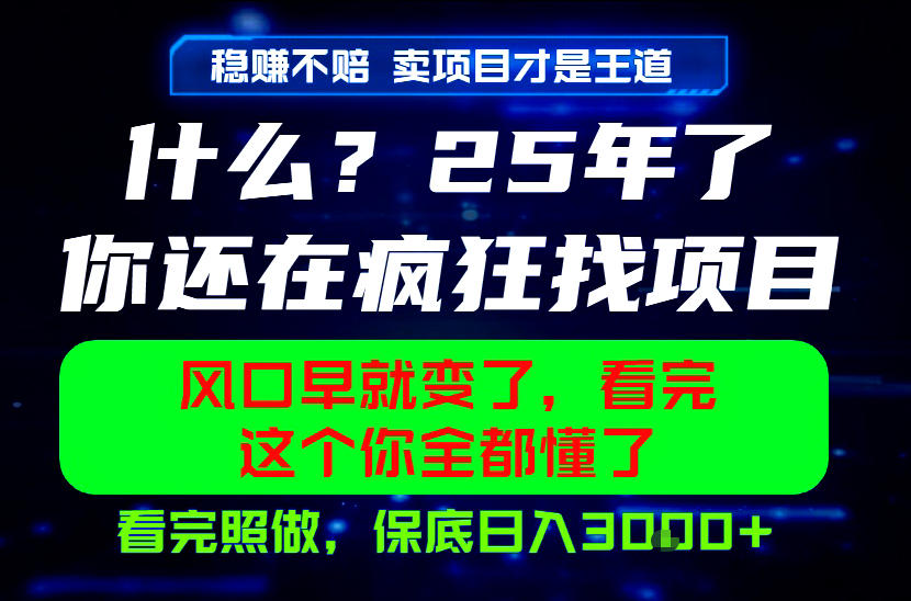 26年，请不要疯狂的找项目做了！卖项目才是真的稳賺不赔，看完照做，保底日入1k+【揭秘】-翌晨科技网