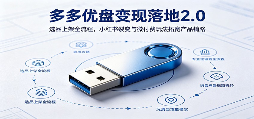 多多优盘变现落地2.0：选品上架全流程，小红书裂变与微付费玩法拓宽产品销路-翌晨科技网