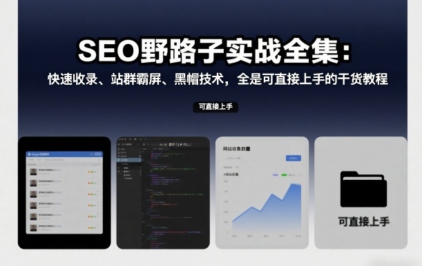 SEO野路子实战全集：快速收录、站群霸屏、黑帽技术，全是可直接上手的干货教程-翌晨科技网