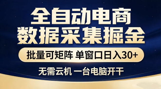 全自动电商数据集掘金，批量可矩阵，单窗口日入30+，无需云机，一台电脑开干【揭秘】-翌晨科技网