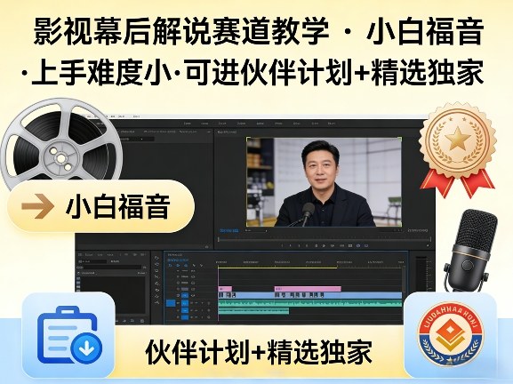 某大佬的影视幕后解说赛道教学，小白福音，上手难度小，可进伙伴计划+精选独家-翌晨科技网