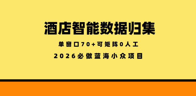 酒店智能数据归集，小众蓝海已经稳定半年之久，单窗口70+零成本矩阵开干【揭秘】-翌晨科技网