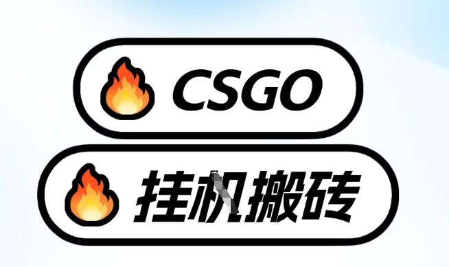 真全网独家CSGO挂G，最新玩法,单日捡漏1K+，不用电脑，不用打游戏【揭秘】-翌晨科技网