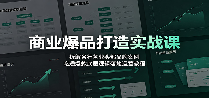 商业爆品打造实战课：拆解各行各业头部品牌案例，吃透爆款底层逻辑落地运营教程-翌晨科技网