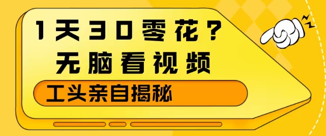 1天30零花?无脑看视频,大佬亲自揭秘-翌晨科技网