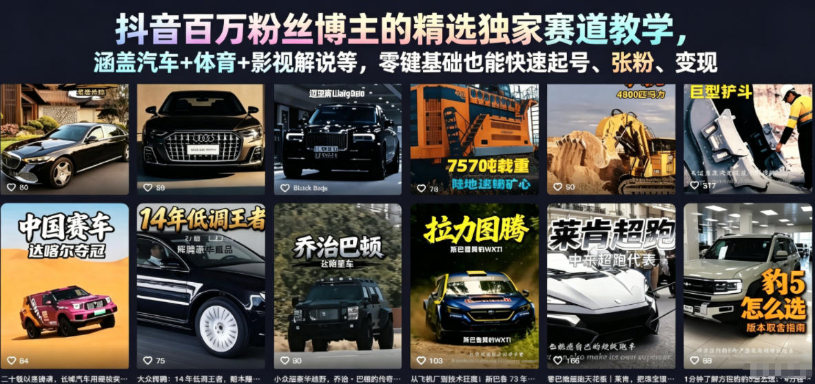 抖音百万粉丝博主的精选独家赛道教学，涵盖汽车+体育+影视解说等，零基础也能快速起号、涨粉、变现（更新0701）-翌晨科技网