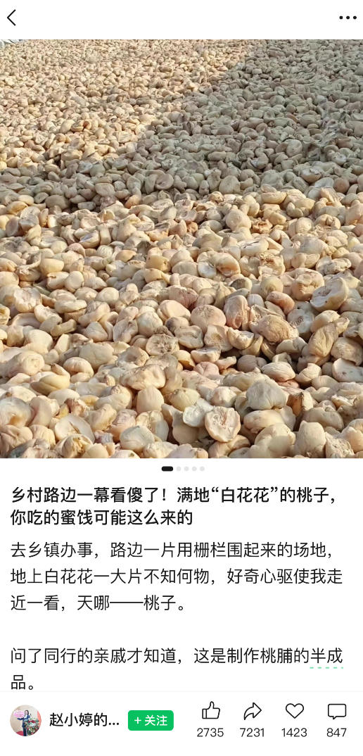 图片[2]-公众号小绿书贴图项目，赚收益实操玩法，听话照听话照少走90%弯路丨副业可做-翌晨科技网