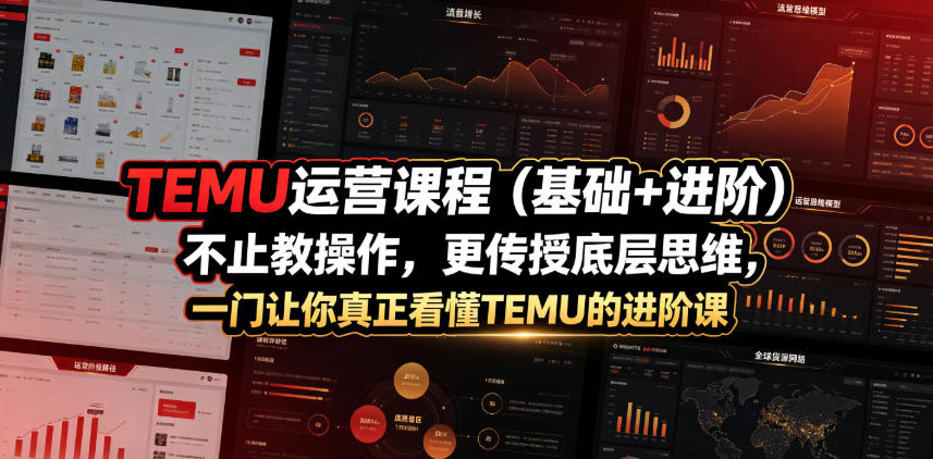 TEMU运营课程（基础+进阶），不止教操作，更传授底层思维，一门让你真正看懂TEMU的进阶课-翌晨科技网