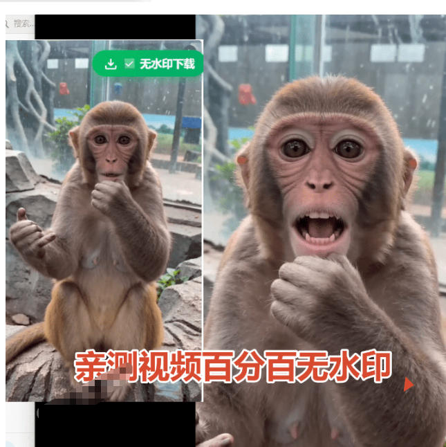 图片[2]-豆包无水印下载终于来了！支持豆包图片/视频，目前唯一免费使用的插件，浏览器拓展-翌晨科技网