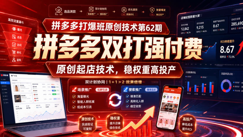 拼多多打爆班原创技术第62期，拼多多双打强付费，原创起店技术，稳权重高投产-翌晨科技网
