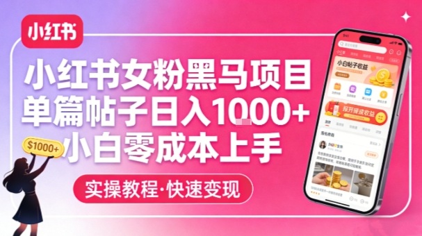 小红书女粉黑马项目,单篇帖子日入1k+,小白零成本上手-翌晨科技网