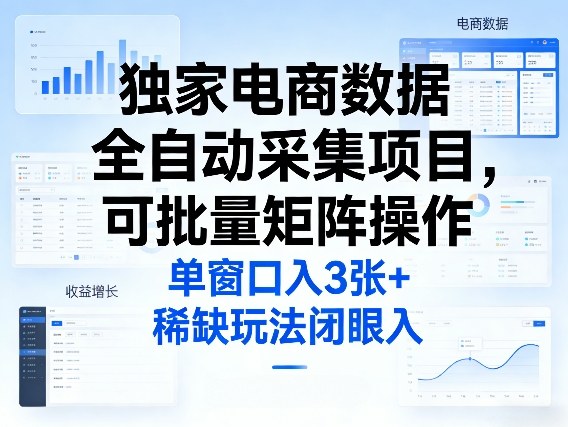 独家电商数据全自动采集项目，可批量矩阵操作，单窗口日入3张+，稀缺玩法闭眼入【揭秘】-翌晨科技网