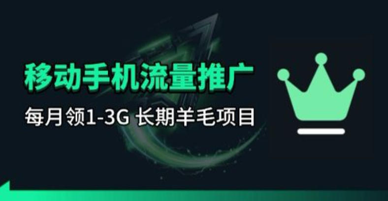 手机流量领取推广_每月一轮，刚需类的长期项目-翌晨科技网