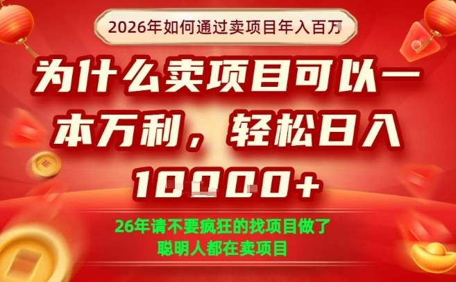 一单净利润1K+，26年想年入100个W，死磕卖项目就够了【揭秘】-翌晨科技网