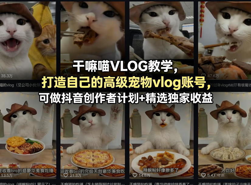 干嘛喵VLOG教学，打造自己的高级宠物vlog账号，可做抖音创作者计划+精选独家收益-翌晨科技网