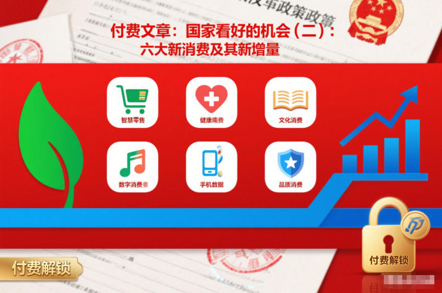 付费文章：国家看好的机会(二)：六大新消费及其新增量-翌晨科技网