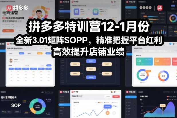 拼多多特训营12-1月份，全新3.01矩阵Sop，精准把握平台红利，高效提升店铺业绩-翌晨科技网