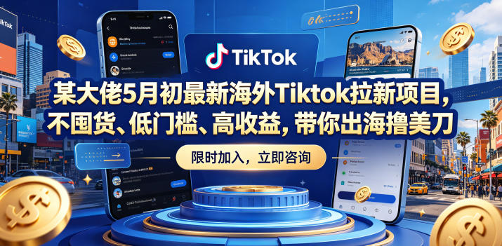 某大佬5月初最新海外Tiktok拉新项目，不囤货、低门槛、高收益，带你出海撸美刀-翌晨科技网