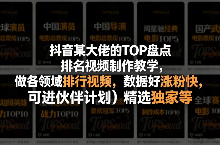 抖音某大佬的TOP盘点排名视频制作，做各领域排行视频，数据好涨粉快，可进伙伴计划＋精选独家等-翌晨科技网
