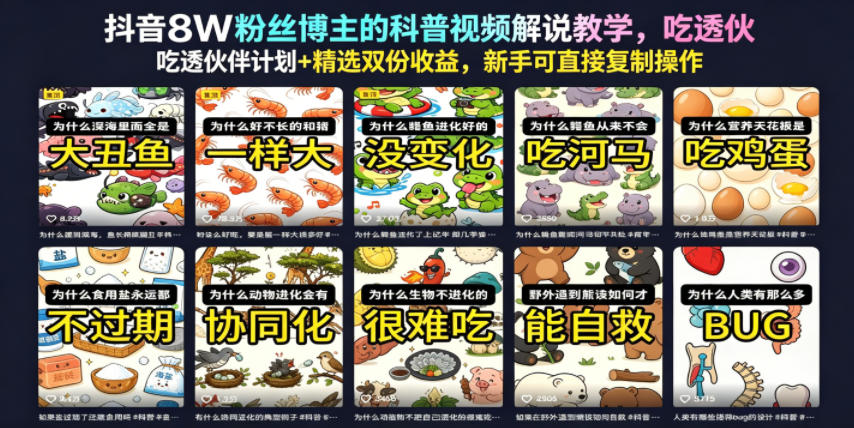 抖音8W粉丝博主的科普视频解说教学，吃透伙伴计划+精选双份收益，新手可直接复制操作-翌晨科技网