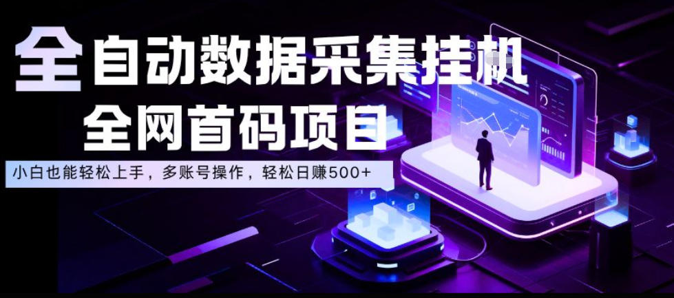 全自动数据采集挂G，全网首码项目，简单易操作，小白也能轻松上手，多账号操作，轻松日入500+【揭秘】-翌晨科技网