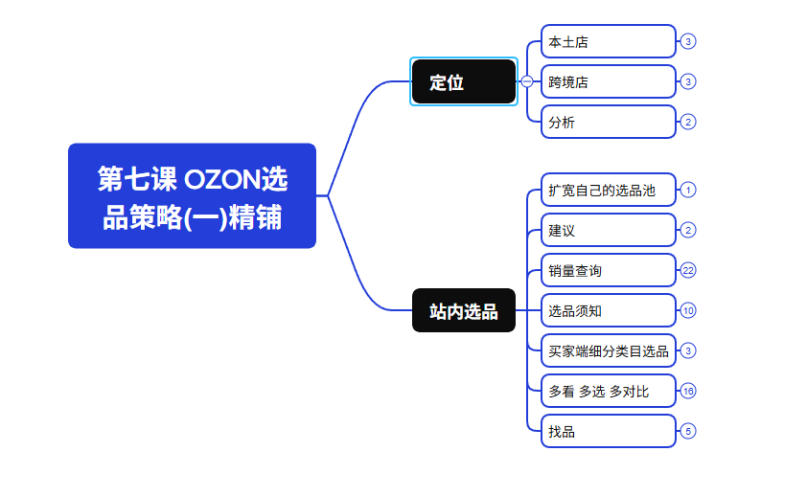 图片[2]-2026最新OZON全流程运营实操跨境电商平台教程，OZON全流程一站式系统学习必修课，从开店到跟卖到精铺-翌晨科技网