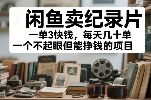 闲鱼卖纪录片，一单3快钱，每天几十单，一个不起眼但能挣钱的项目【揭秘】-翌晨科技网