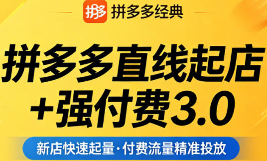 拼多多直线起店+强付费3.0，教你稳定起店、高效控投产、破解流量瓶颈（更新6月）-翌晨科技网