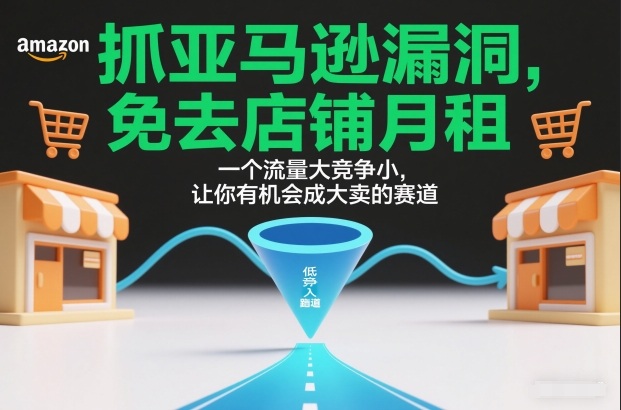 抓亚马逊漏洞,免去店铺月租,一个流量大竞争小,让你有机会成大卖的赛道-翌晨科技网
