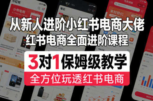 从新人进阶小红书电商大佬，红书电商全面进阶课程，3对1保姆级教学，全方位玩透红书电商-翌晨科技网