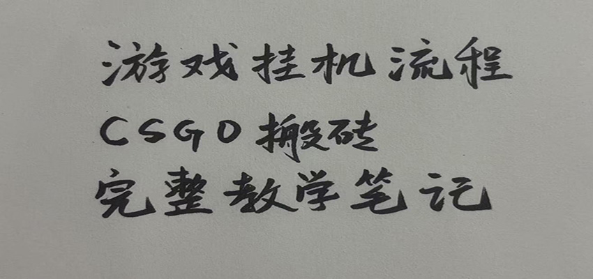 游戏挂机全流程笔记分享，CSGO游戏搬砖，小白看了当天学会见收益-翌晨科技网