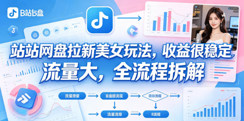 B站网盘拉新美女玩法，收益很稳定，流量大，全流程拆解-翌晨科技网