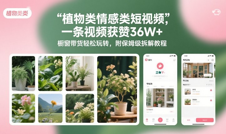 植物类情感类短视频，一条视频获赞36W+，橱窗带货轻松玩转，附保姆级拆解教程-翌晨科技网