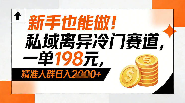 新手也能做！私域离异冷门赛道，一单198，精准人群日入1k+-翌晨科技网