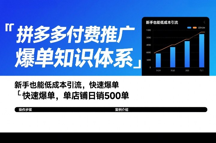 拼多多付费推广爆单知识体系，新手也能低成本引流，快速爆单，单店铺日销500单-翌晨科技网