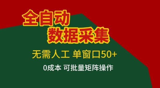 全自动数据采集项目，无需人工，单窗口可达50+收益，操作简单无难度，一个人也能轻松实现矩阵【揭秘】-翌晨科技网