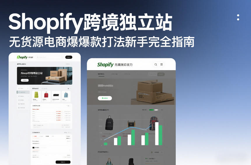 Shopify跨境独立站无货源电商爆款打法新手完全指南-翌晨科技网