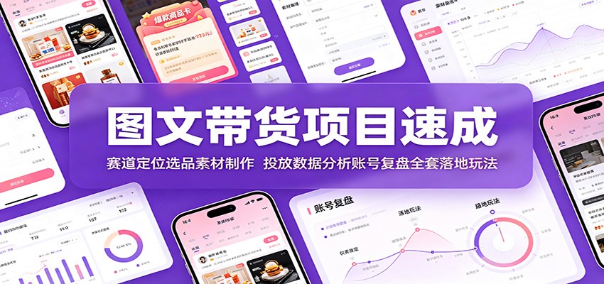 图文带货项目速成：赛道定位选品素材制作，投放数据分析账号复盘全套落地玩法-翌晨科技网
