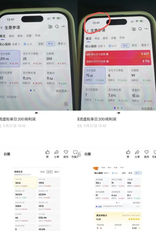 图片[2]-薅流虚拟2.0陪跑课，0成本AI流程化操作，淘宝+闲鱼同步玩法，上一次货两个平台有收益，单店每天200纯利润-翌晨科技网
