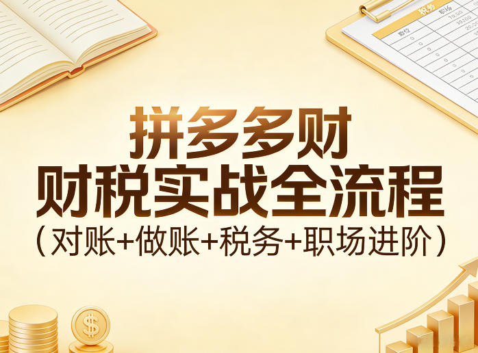 拼多多财税实战全流程（对账+做账+税务+职场进阶）-翌晨科技网