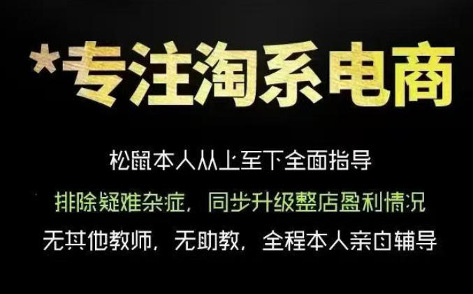 松鼠会电商VIP课程，从基础布局到高阶优化，助你掌握淘宝运营逻辑，提升店铺流量与转化-翌晨科技网