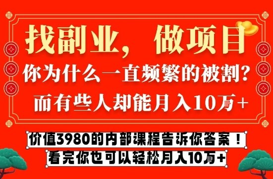 价值3980的网创内部课程，告诉你互联网创业月入10个W的秘密【揭秘】-翌晨科技网