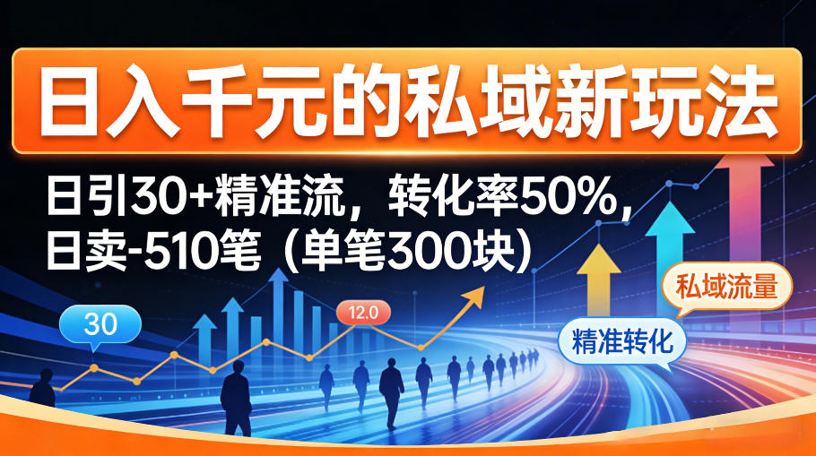 日入千米的私域新玩法：日引30＋精准流，转化率50%，日卖5-10笔（单笔300米）-翌晨科技网