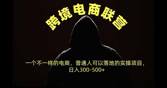 （20702期）跨境电商联营，一个不一样的电商，普通人可操作日入300-500+-翌晨科技网