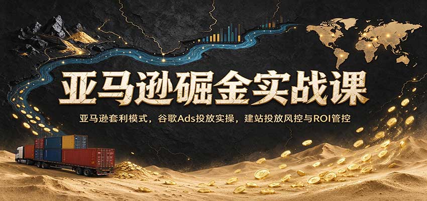 亚马逊掘金实战课：亚马逊套利模式，谷歌Ads投放实操，建站投放风控与ROI管控-翌晨科技网