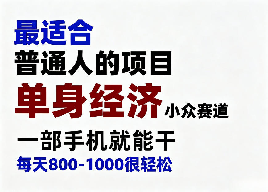 身经济小众赛道，一部手机就能干，每天搞个800-1000很轻松，最适合普通人的项目【揭秘】-翌晨科技网